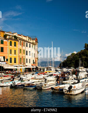 Portofino, Port, Italie, Riviera Italienne Banque D'Images