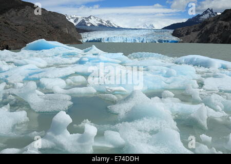 Les icebergs se détachent du glacier Grey, Torres del Paine, Chili Banque D'Images