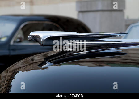 Torino, Italie. 6e septembre 2014. Détail d'un ornement de capot Cadillac 1949. Les collectionneurs de voitures historiques se sont réunis à Turin pour un concours d'élégance automobile. Banque D'Images