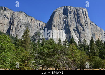El Capitan Banque D'Images