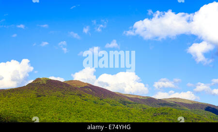 Paysage de la gamme Poloniny en Bieszczady, Pologne. Banque D'Images