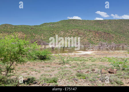 Beau paysage au lac Bogoria, au Kenya. Banque D'Images