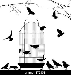 Cage à oiseaux ouverte et les oiseaux silhouettes sur fond blanc Banque D'Images