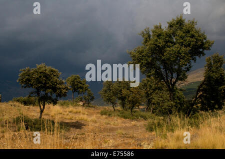 Ciels de tempête et de l'atmosphère d'un retard d'Alpujaras scrub oak hills Andalousie Espagne Banque D'Images