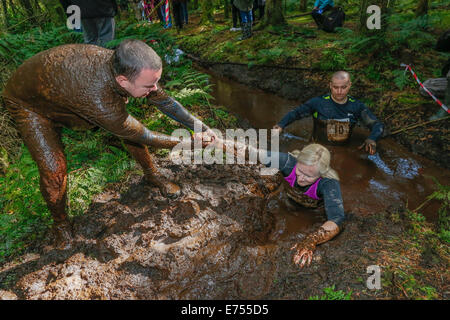 Kilmarnock Ayrshire, Scotland, UK. 7e Septembre, 2014. La session d'été de l'Craufurdland Muddy Run a attiré plus de 500 concurrents de l'Écosse qui a couru à travers les sentiers forestiers, plus d'eau et boueux par piscines pour terminer la course de 10 kilomètres. De nombreux concurrents ont été parrainés pour recueillir des fonds pour les organismes de bienfaisance locaux, y compris l'appui MacMillan les hôpitaux pour enfants et de plusieurs organismes de charité contre le cancer. Credit : Findlay/Alamy Live News Banque D'Images