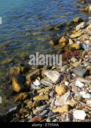 Séashore pollué par des récipients en plastique. Banque D'Images