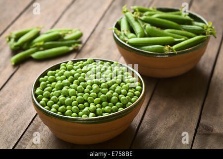 Pois (lat. Pisum sativum) et fermées dans des bols peapods (Selective Focus, mise au point dans le milieu du pois) Banque D'Images