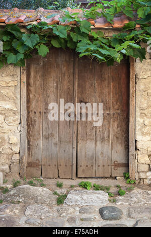 Vieille porte en bois et vigne sur mur de pierre Banque D'Images