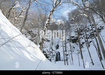 Cours d'oirase en hiver Banque D'Images