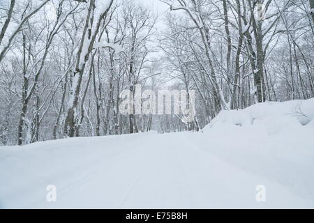Cours d'oirase en hiver Banque D'Images