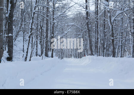 Cours d'oirase en hiver Banque D'Images