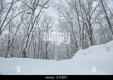 Cours d'oirase en hiver Banque D'Images