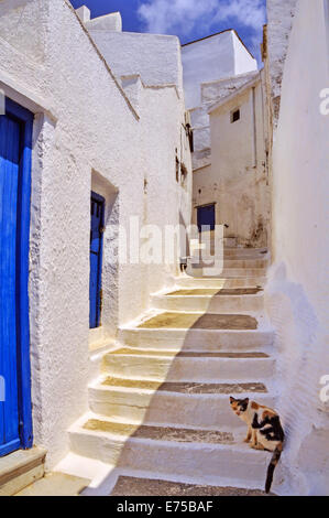 Une ruelle pittoresque voies en amont le traditionnel médiéval de Isternia dans l'ile de Tinos, Cyclades, Grèce Banque D'Images