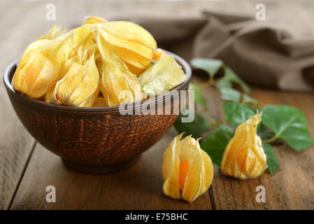 Bol à fruits Physalis libre sur fond de bois Banque D'Images