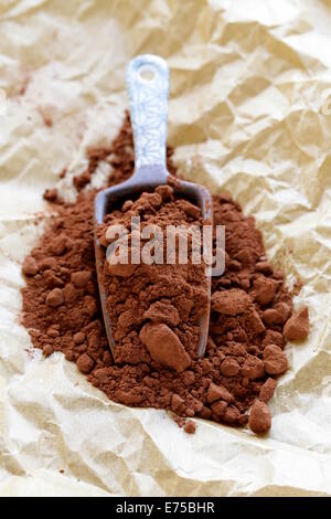 Poudre de cacao naturel avec des bonbons au chocolat truffe dans une plaque ecope Banque D'Images