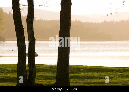 Coucher du soleil sur le lac de Menteith vue d'Inchmahome Priory Parc National des Trossachs Stirling en Écosse Banque D'Images