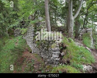 La ruine de château hohenwaldeck à schliersee en Bavière dans gernamy Banque D'Images