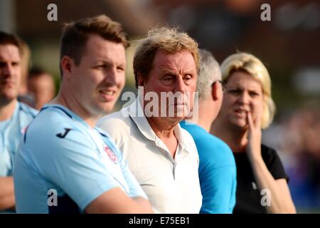 Poole, UK. 07Th Nov, 2014. Match de bienfaisance au profit de la DN sufferer Andrew Culliford. Harry Redknapp. © Plus Sport Action/Alamy Live News Banque D'Images