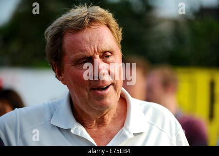 Poole, UK. 07Th Nov, 2014. Match de bienfaisance au profit de la DN sufferer Andrew Culliford. Harry Redknapp. © Plus Sport Action/Alamy Live News Banque D'Images