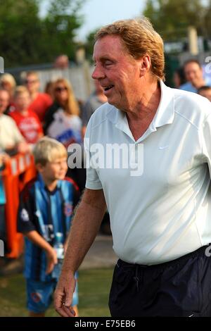 Poole, UK. 07Th Nov, 2014. Match de bienfaisance au profit de la DN sufferer Andrew Culliford. Harry Redknapp. © Plus Sport Action/Alamy Live News Banque D'Images