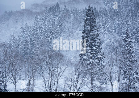 En hiver, la vallée de kaeri daki Banque D'Images