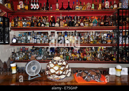 Plus de 200 bouteilles de Tequila couvrent les murs d'un bar dans le Mexique Sayulita Banque D'Images