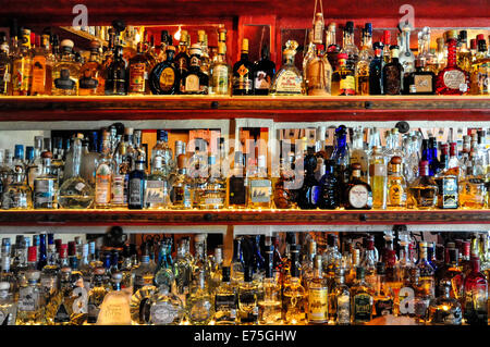 Plus de 200 bouteilles de Tequila couvrent les murs d'un bar dans le Mexique Sayulita Banque D'Images