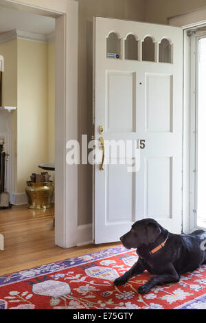 Laboratoire noir chien assis dans l'entrée de Suburban House, USA Banque D'Images