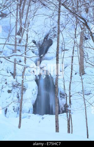 Cours d'oirase en hiver Banque D'Images