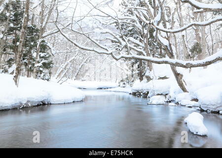 La neige a couvert la rivière Oirase, Aomori, Japon Banque D'Images