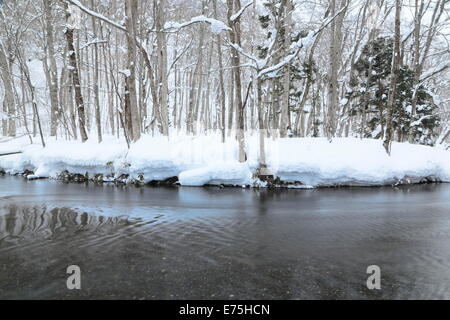 La neige a couvert la rivière Oirase, Aomori, Japon Banque D'Images