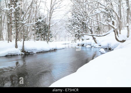 La neige a couvert la rivière Oirase, Aomori, Japon Banque D'Images