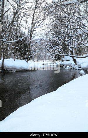 La neige a couvert la rivière Oirase, Aomori, Japon Banque D'Images