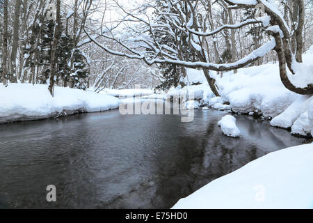 La neige a couvert la rivière Oirase, Aomori, Japon Banque D'Images