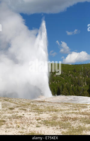 Vertical image de l'éruption du geyser Old Faithful à pleine vapeur avec ciel bleu et nuages en arrière-plan Banque D'Images