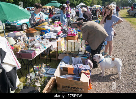 L'homme et fille avec chien à vide grenier ou brocante, Sillé le Guillaume, Sarthe, France, Europe Banque D'Images