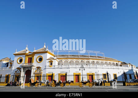 Des calèches, Plaza de Toros de la Maestranza, arènes, musée, Séville, Andalousie, Espagne Banque D'Images