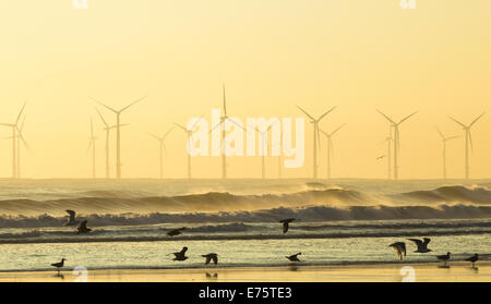 Parc éolien en mer de Teesside sur la côte nord-est au lever du soleil. L'Angleterre. UK Banque D'Images