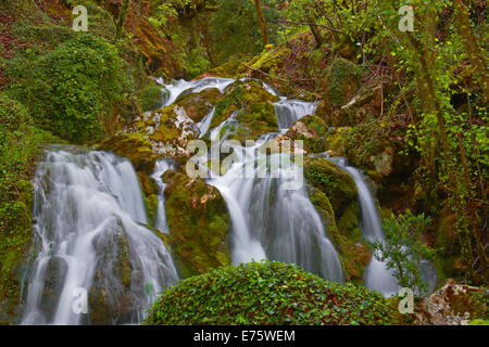 Urederra Rivière, Parc Naturel Urbasa-Andia, Baquedano, Navarra, Espagne Banque D'Images