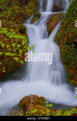 Urederra Rivière, Parc Naturel Urbasa-Andia, Baquedano, Navarra, Espagne Banque D'Images