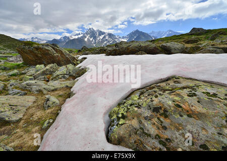 La neige ou neige (algues algue Chlamydomonas nivalis), à l'arrière plage de Kaunergrat, Seeles Voir le lac, la vallée de Kaunertal, Tyrol, Autriche Banque D'Images