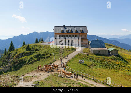 Rotwandhaus refuge, région du lac Spitzingsee, Mangfall montagnes, Haute-Bavière, Bavière, Allemagne Banque D'Images