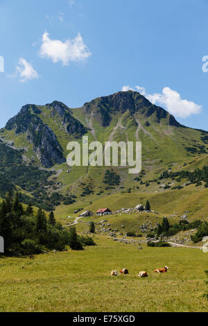 Mt ou Croda Rossa Rotwand et le Grosstiefental, alpage, Mangfall, montagnes, Bavière Haute-bavière Banque D'Images
