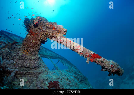 Des armes lourdes, naufrage du SS Thistlegorm, Mer Rouge, Shaab Ali, péninsule du Sinaï, Égypte Banque D'Images