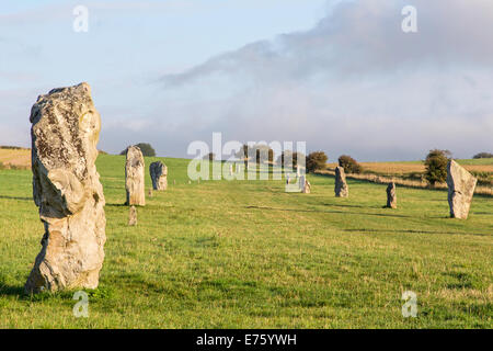 West Kennet Avenue menant au néolithique d'Avebury Stone Circle, Avebury près de Marlborough, Wiltshire, England, UK Banque D'Images