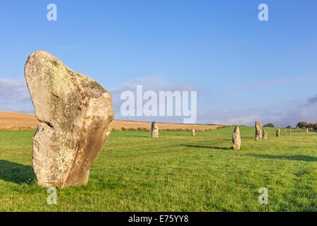 West Kennet Avenue menant au néolithique d'Avebury Stone Circle, Avebury près de Marlborough, Wiltshire, England, UK Banque D'Images