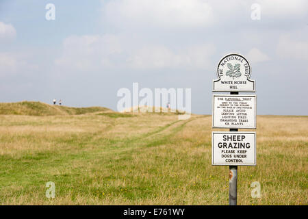 White Horse Hill sur Bratton Downs et les remblais d'Uffington Castle Hill fort de l'âge du Fer, Wiltshire, Angleterre, Banque D'Images
