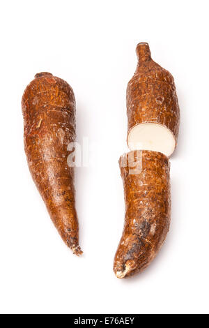 Le manioc ou Yuca un légume-racine utilisée pour faire le tapioca isolated on a white background studio Banque D'Images