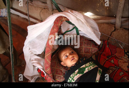 Kaboul, Afghanistan. Sep 8, 2014. Un bébé déplacées reste sous une tente temporaire à Kaboul, en Afghanistan, le 8 septembre 2014. © Ahmad Massoud/Xinhua/Alamy Live News Banque D'Images