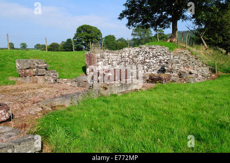 Y Gaer Brecon Gaer Hill Fort romain près de Aberyscir brecon au Pays de Galles Cymru UK GO Banque D'Images